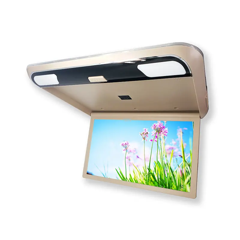 19” Roofmount Monitor 1