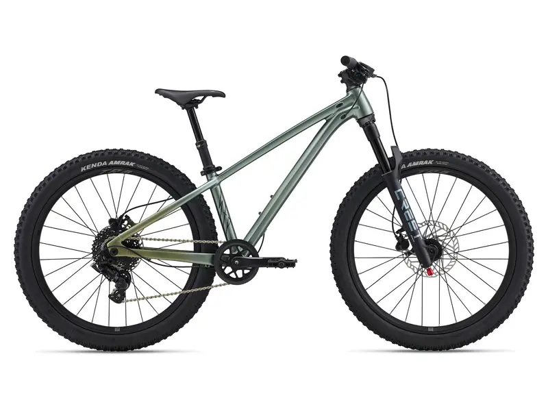 2026 Giant Liv Stp 24" Girls Dirt/Park/Street Bike - Alpine Green. Rider Height 125 - 145Cm 1