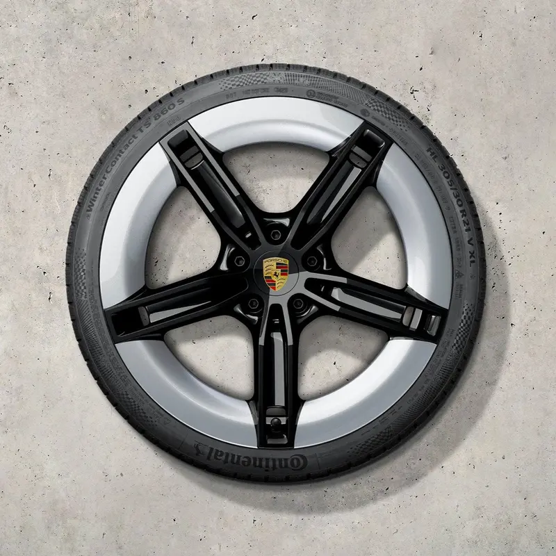 21" Taycan Ii "Mission E Design" Winter Set - Black / Silver 1