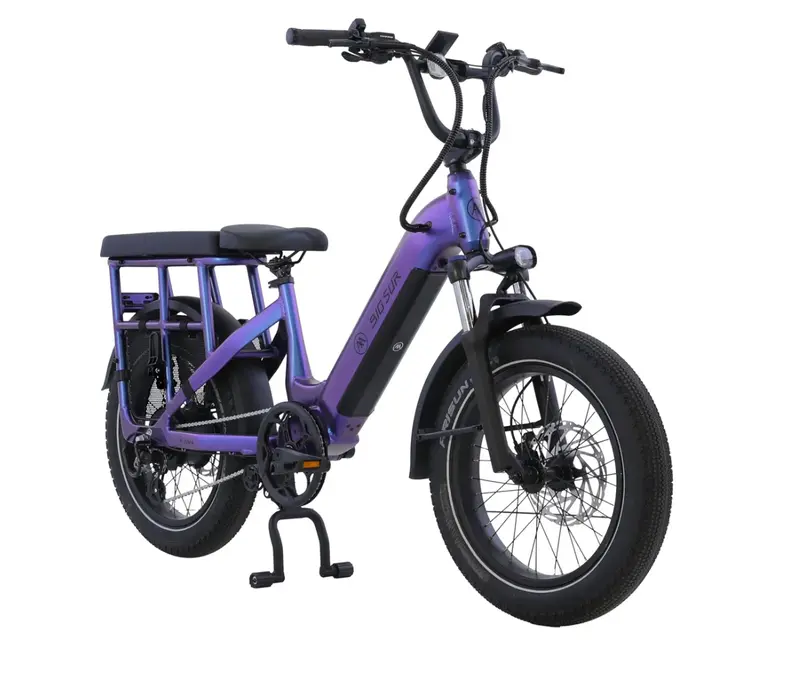 Aima Big Sur Utility Cargo Electric Fat Tire Bike 1