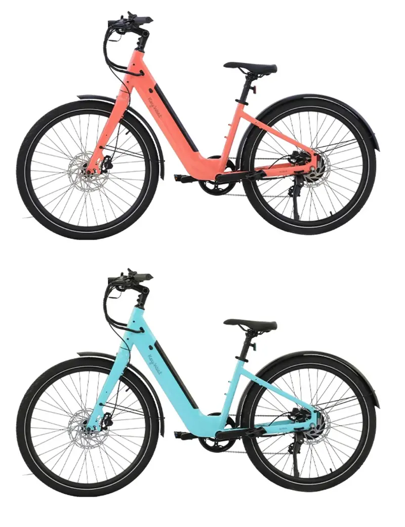 Aima Key West Step Tru Electric Cruiser Bike 2