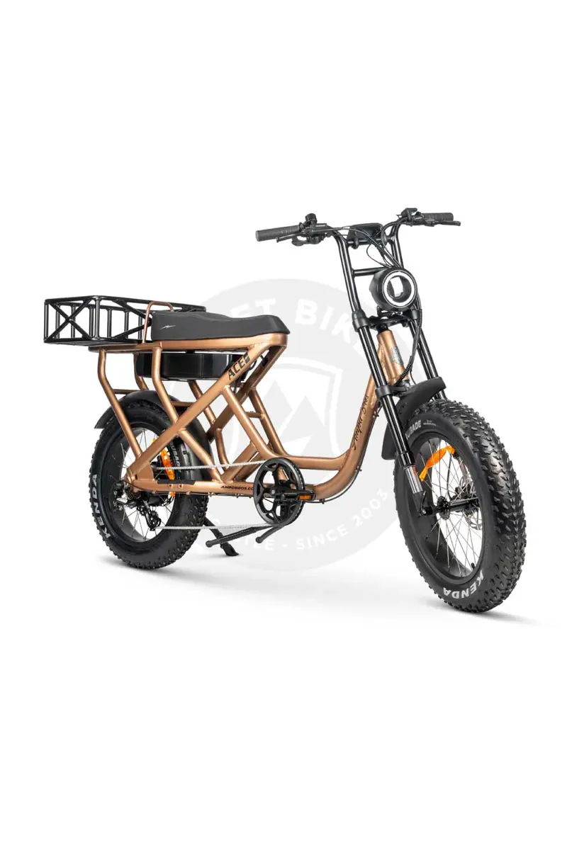 Ampd Bros Ace-S Cargo Max Electric Bike 3