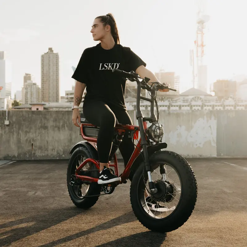 Ampd Bros Ace-X Demon² Dual Motor Fat Electric Bike 3
