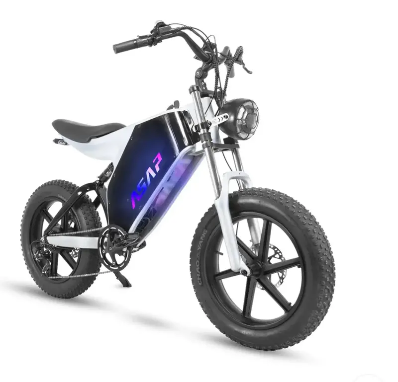 Asap Zebra Full Suspension Electric Moto Bike 1