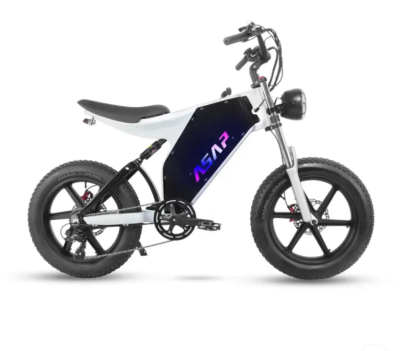 Asap Zebra Full Suspension Electric Moto Bike 2