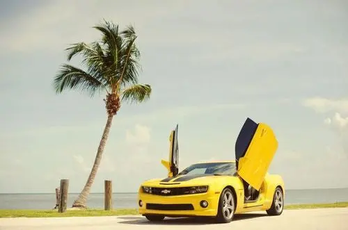 Chevrolet Camaro 2010-2014 Vertical Lambo Doors 1
