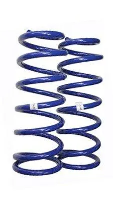 Coil Spring Pair Patrol 4 Front" 1