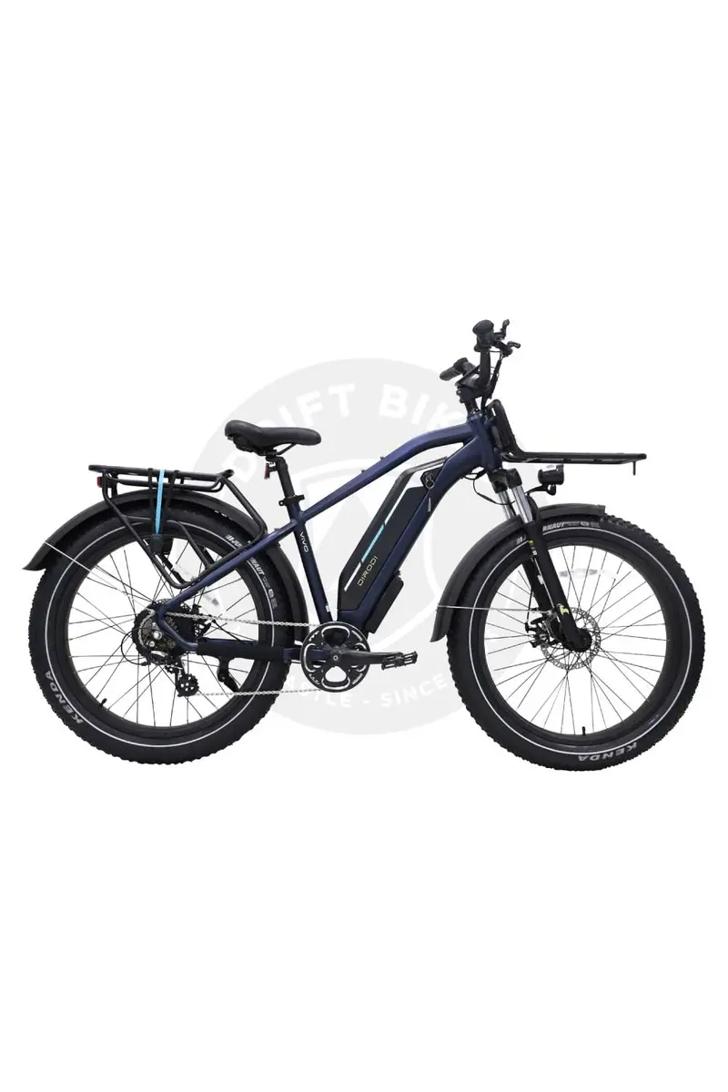 Dirodi Vivo Cruiser All Terrain Fat Tyre Electric Bike 1