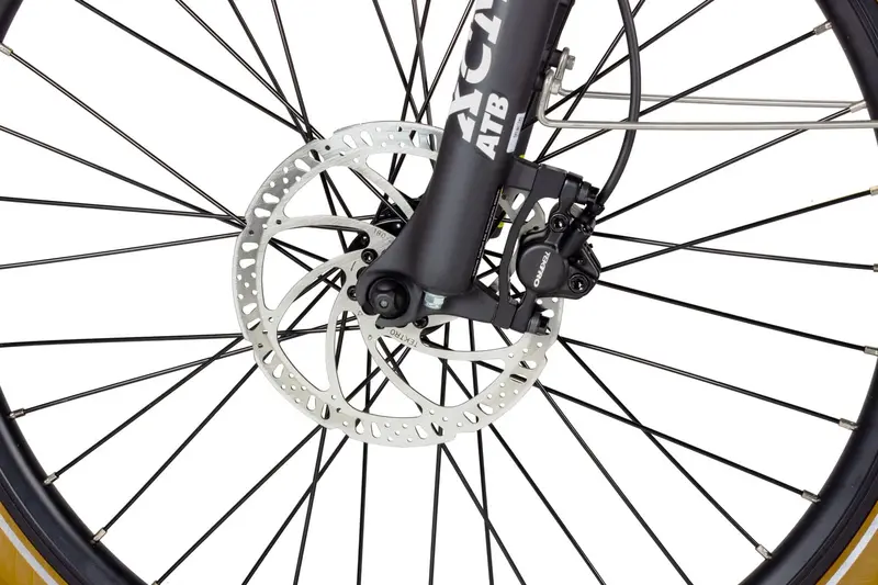 Dirodi Xtreme Electric Bike (Gen 3) 4