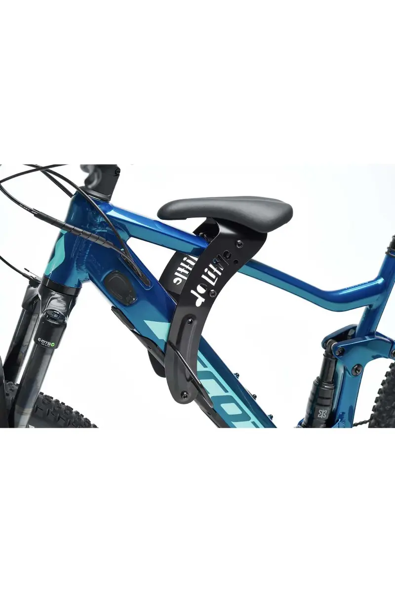 Do Little Kids Mountain Bike Seat Biggie 1