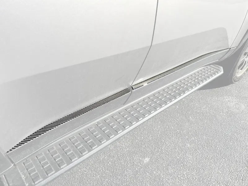 Domed Lower Door Accent Trim - 2024+ Land Cruiser 1