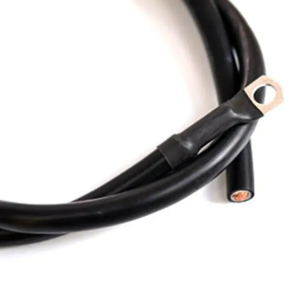 Earth Strap - Incl 1 Lug (700Mm Long) 1
