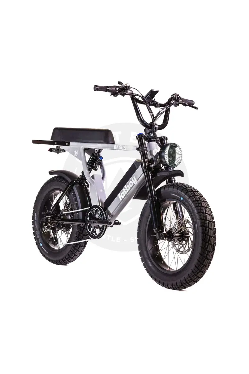 Fatboy The Bagus Electric Bike 2