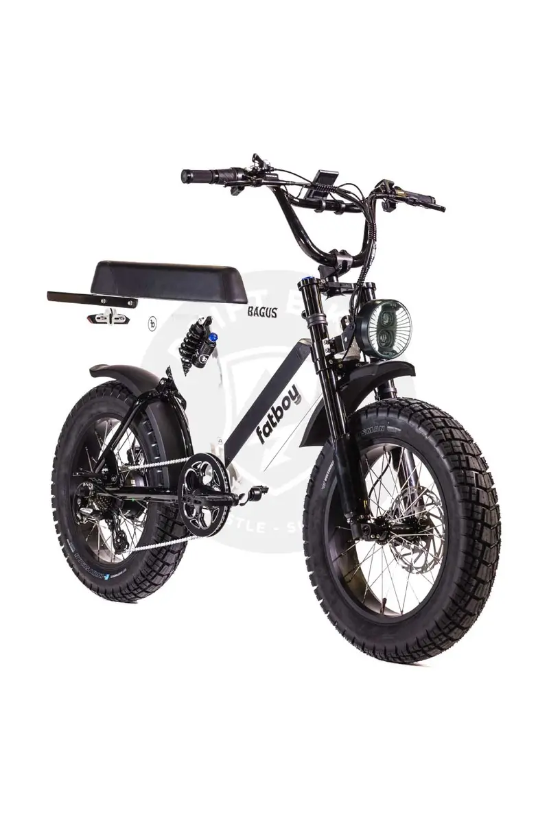 Fatboy The Bagus Electric Bike 3