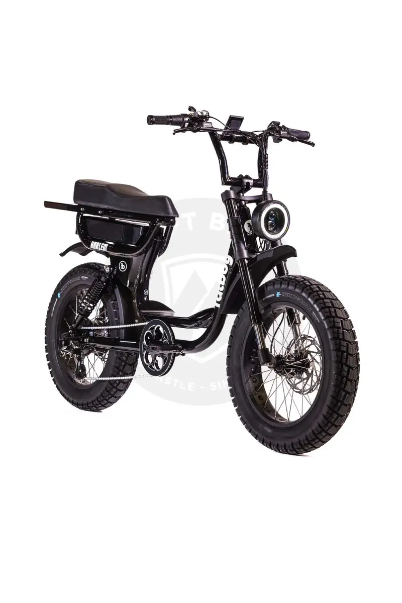 Fatboy The Harlem Electric Bike 1