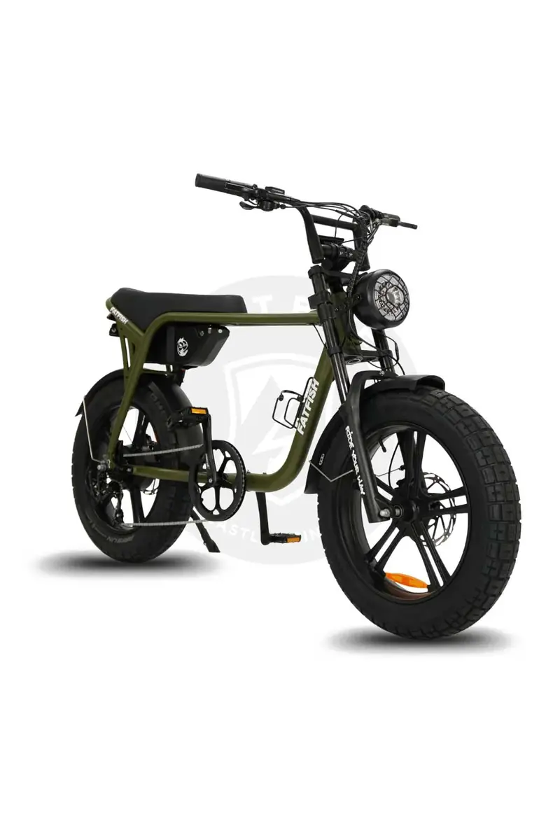 Fatfish Og 2.0 20Ah Fat Tyre E-Bike 3