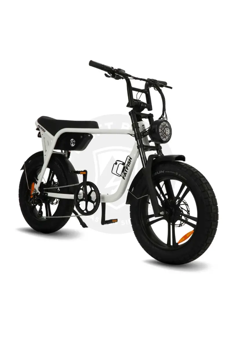 Fatfish OG 2.0 Fat Tire E-Bike – 20Ah Battery