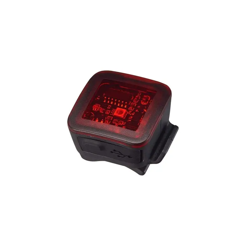 Flashback Taillight 1