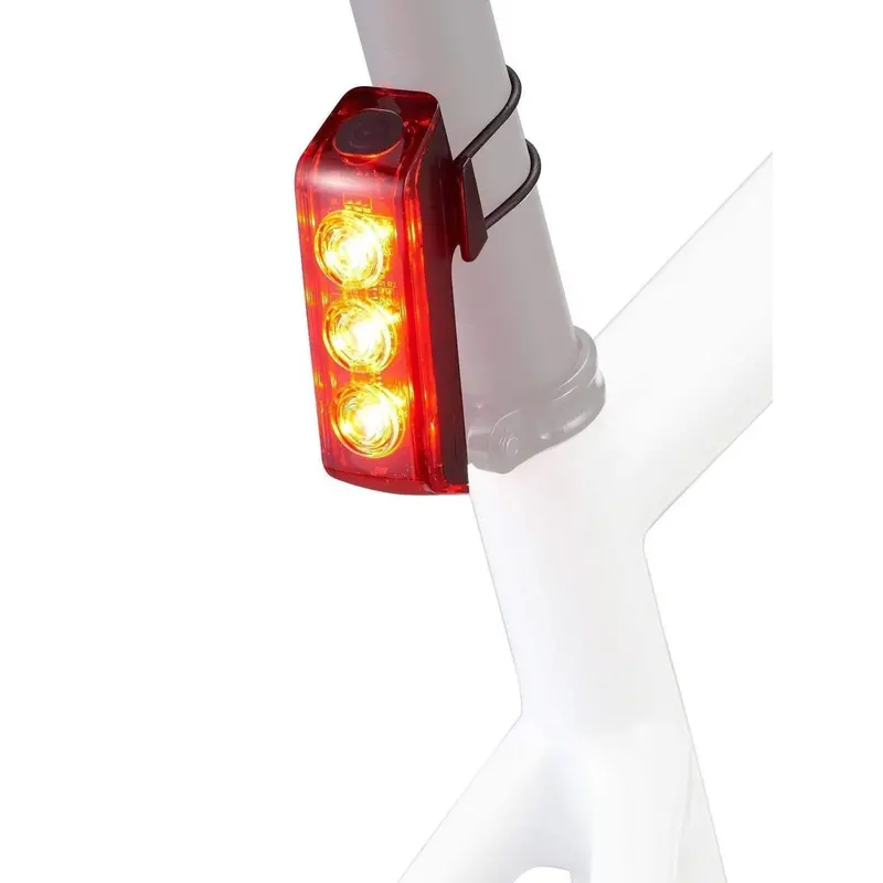 Flux 250R Taillight 2