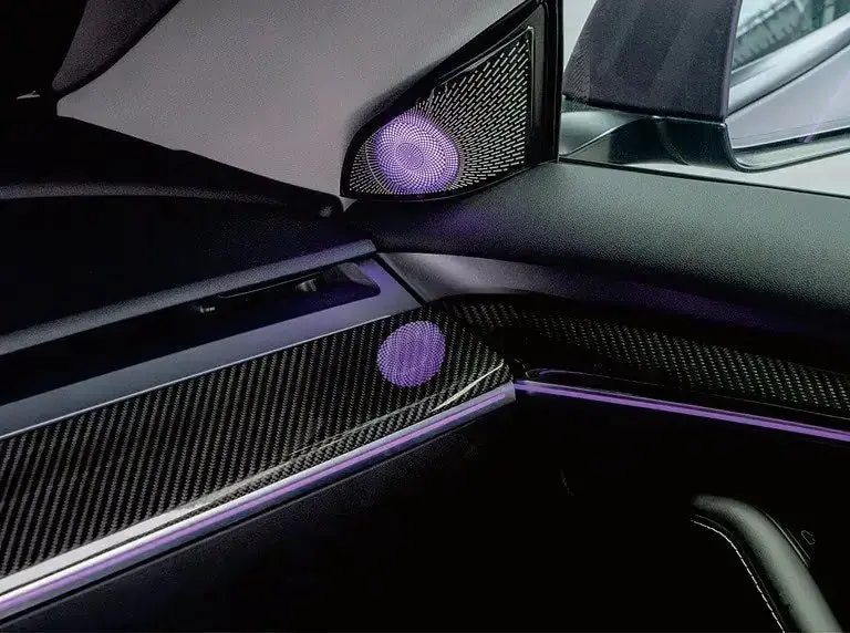 Lea-19Y - Laser Engraved Ambient Lights For 2019-2023+ Model Y (Monochrome) 1