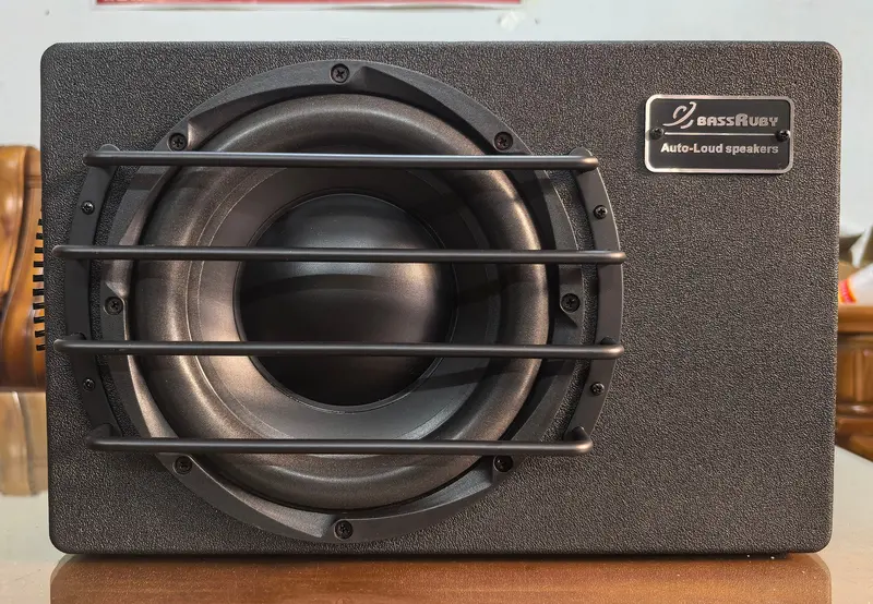 Ler Audio St-10 Powered Subwoofer – Compact Powerhouse For Serious Bass 1