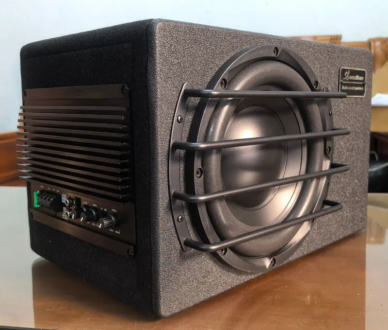 Ler Audio St-10 Powered Subwoofer – Compact Powerhouse For Serious Bass 2