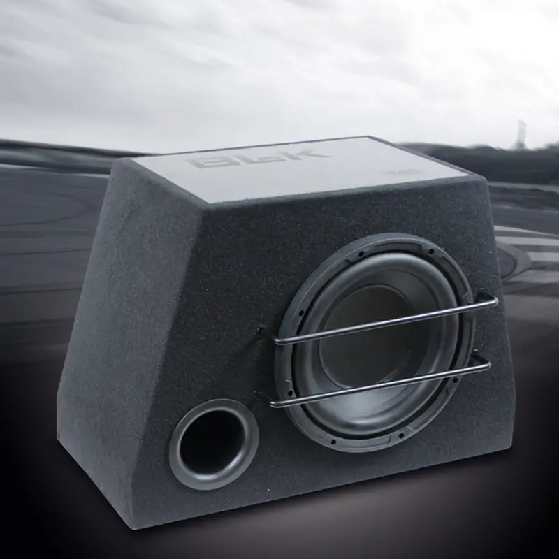 Mac Audio Blk 25 10" Bass Reflex Subwoofer 1