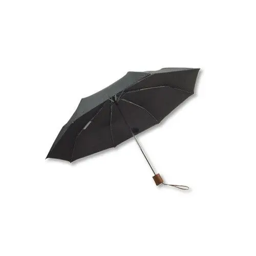 Mini Manual Umbrella 1
