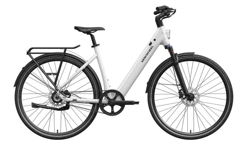 Mokwheel Flint Pro City Electric Bike 1