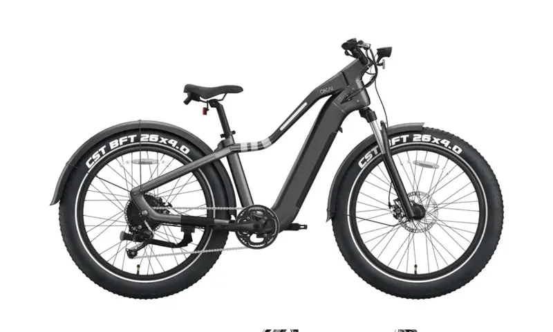 Okai Ranger Eb50 Fat Tire Electric Bike 2