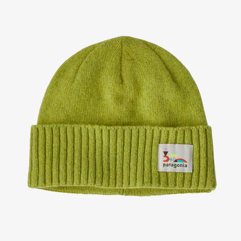 Patagonia Bordeo Beanie 2