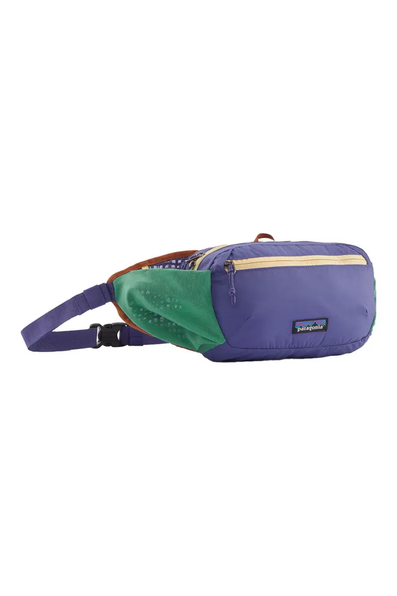 Patagonia Terravia Hip Pack 5L 1