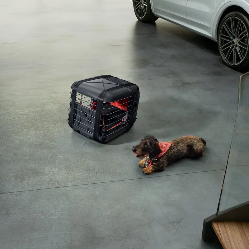 Porsche Dog Carrier 1