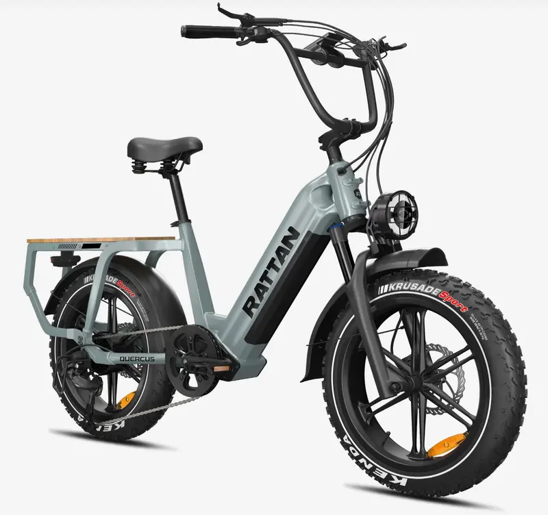 Rattan Quercus Step Thru Utility Electric Bike 1