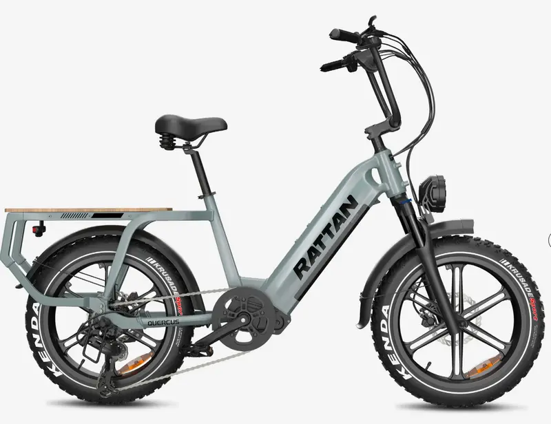 Rattan Quercus Step Thru Utility Electric Bike 2