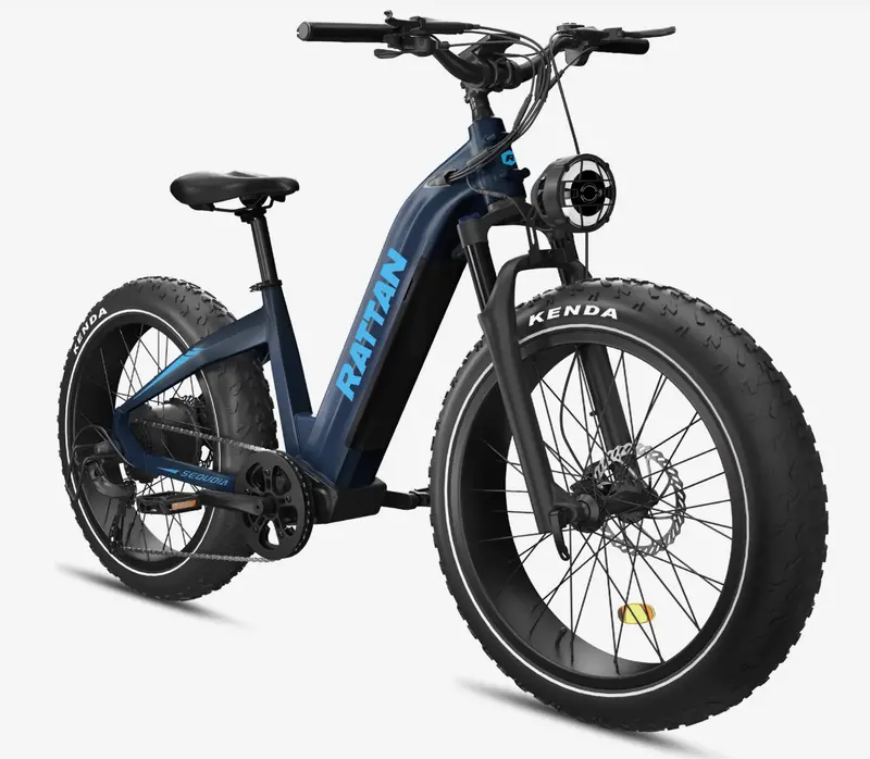 Rattan Sequoia Step Thru Dual Battery Fat Tire Mountain Electric Bike 2