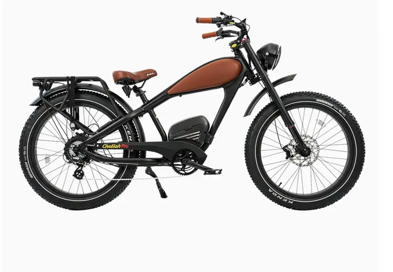 Revi Cheetah Pro Fat Tire Electric Bike Bonus 1