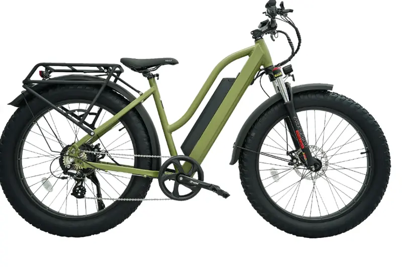 Revi Predator Fat Tire Electric Bike 1