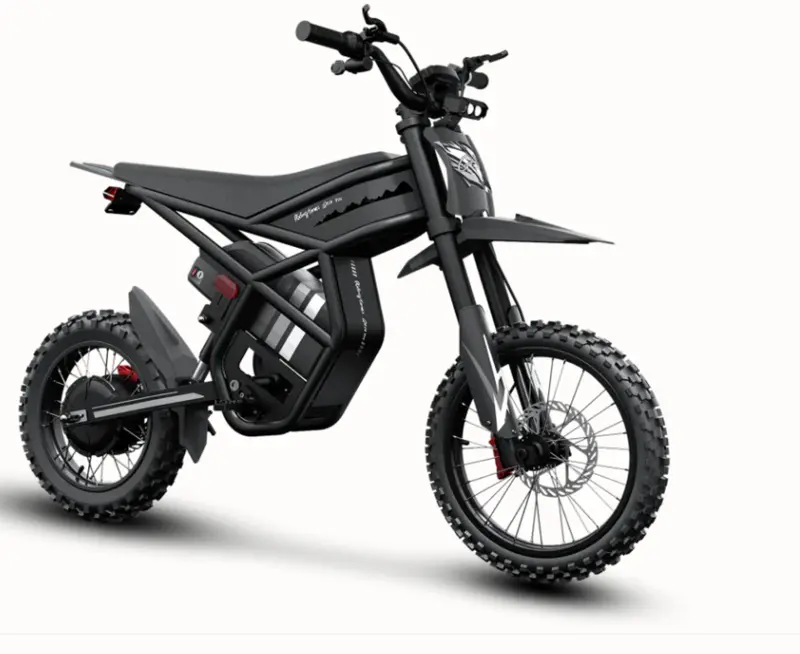 Riding Times Gt54 Pro Teenager Adult Electric Motorcycle Bike 1