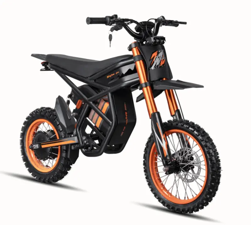 Riding Times Gt54 Teenager Adult Electric Motorcycle Bike 1