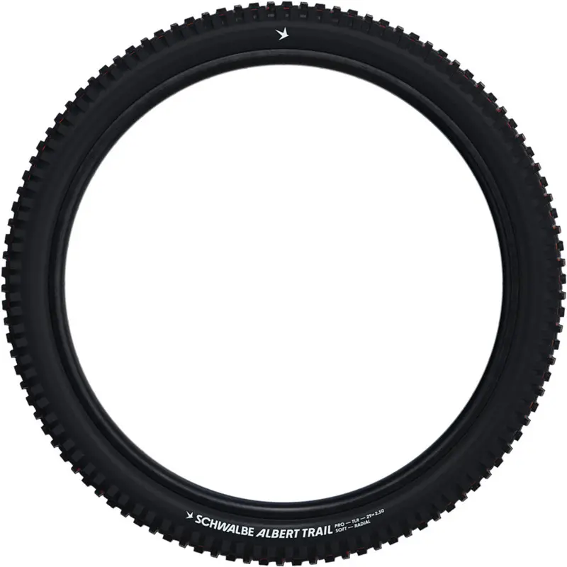Schwalbe Albert Gravity Pro Soft Tubeless Radial Tyre 2