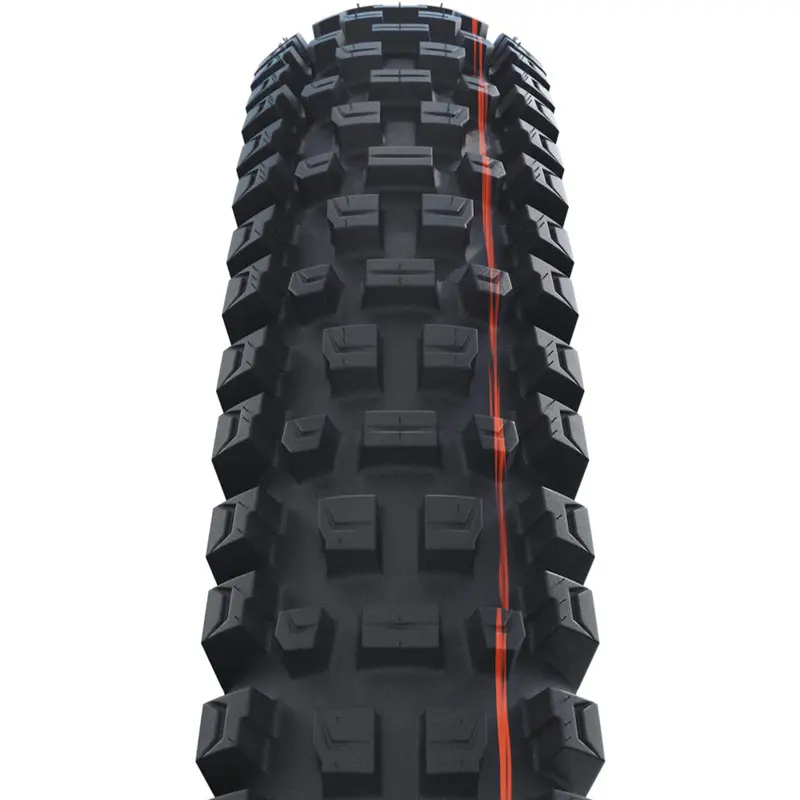 Schwalbe Albert Gravity Pro Soft Tubeless Radial Tyre 3