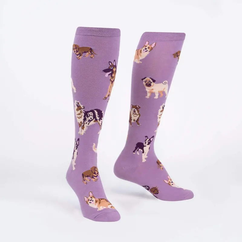 Sock It To Me Stay Pawsitive Knee High Socks 1