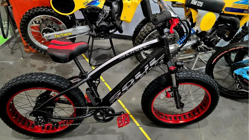 Soul Fast E-Bikes Saber Expert 24 Electric Bikes 2026 1