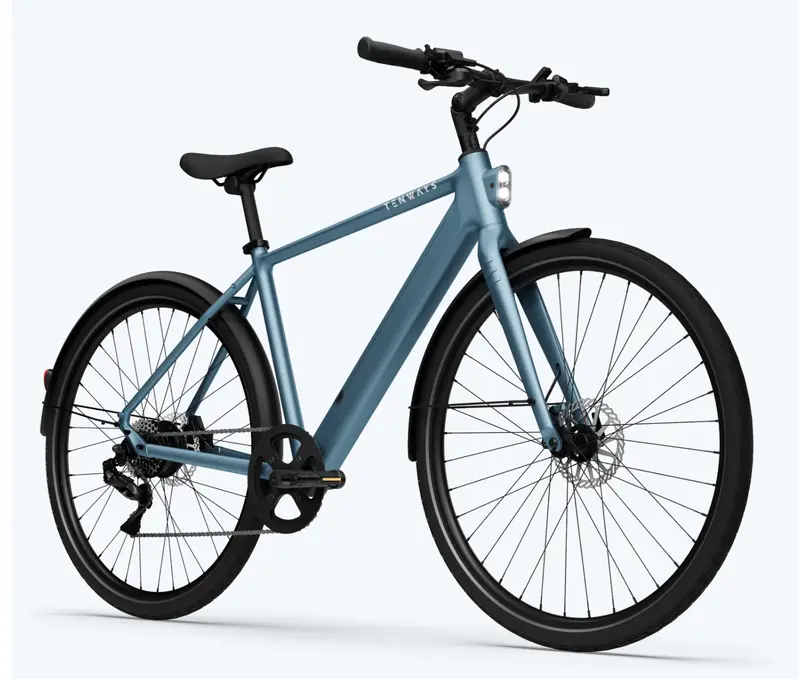 Tenways Cgo600 Pro Electric Bike 1