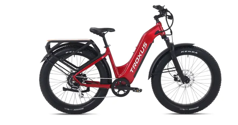 Troxus Explorer Plus  All Terrain Electric Bike 1