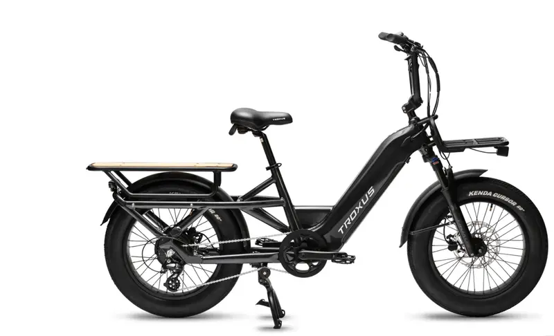 Troxus Lynx Cargo Step Thru  Electric Bike 1