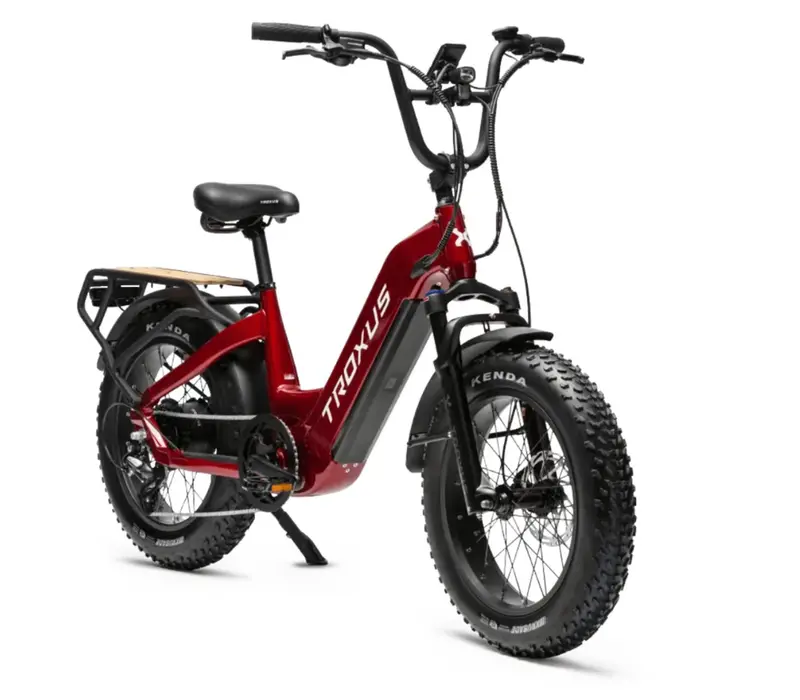 Troxus Lynx Plus Mini Cargo Step Thru  Electric Bike 1