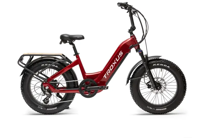 Troxus Lynx Plus Mini Cargo Step Thru Electric Bike 2