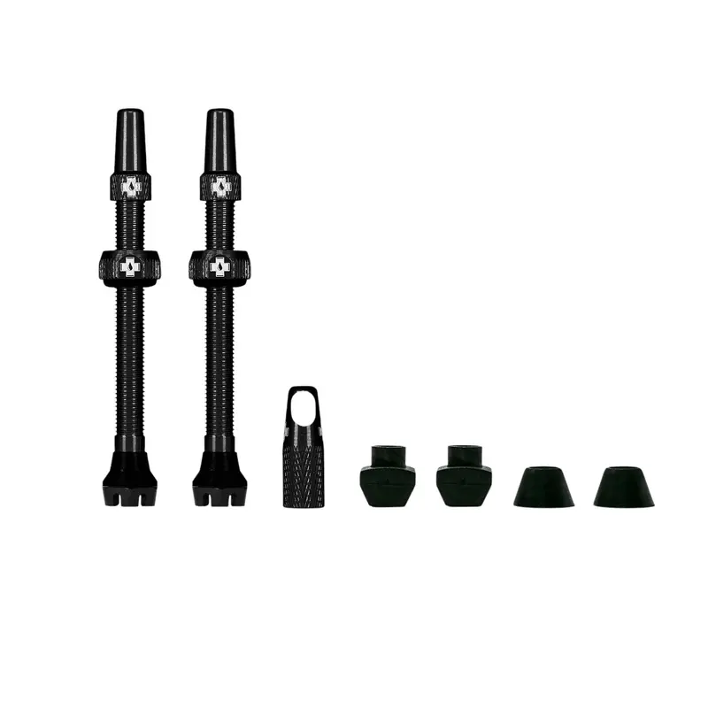 Tubeless Valves - V2 1